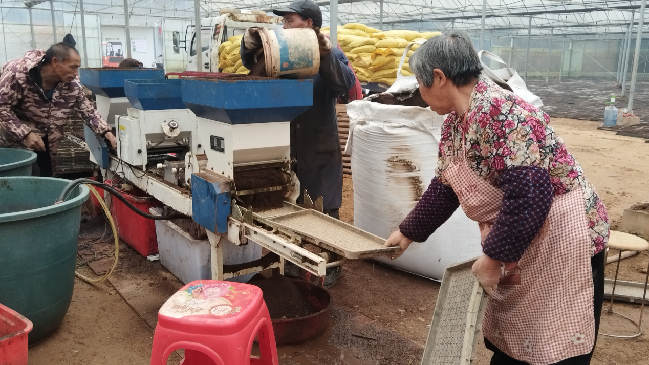 邵阳市北塔区：育秧工厂生产忙智能化助力春耕“加速度”(图1)