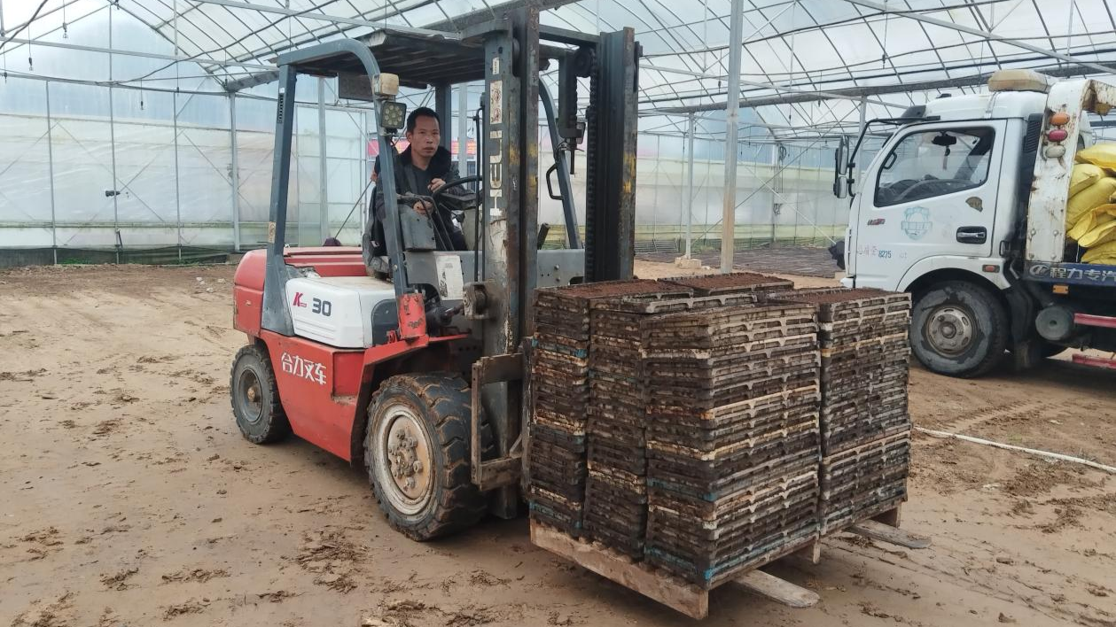 邵阳市北塔区：育秧工厂生产忙智能化助力春耕“加速度”(图2)