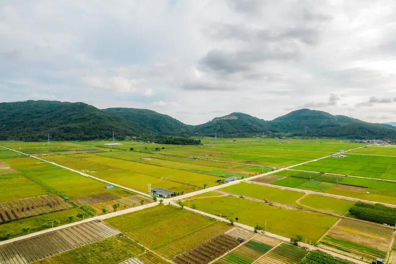 未来十年农业发展趋势你知道多少(图2)