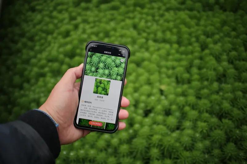 未来十年农业发展趋势你知道多少(图4)