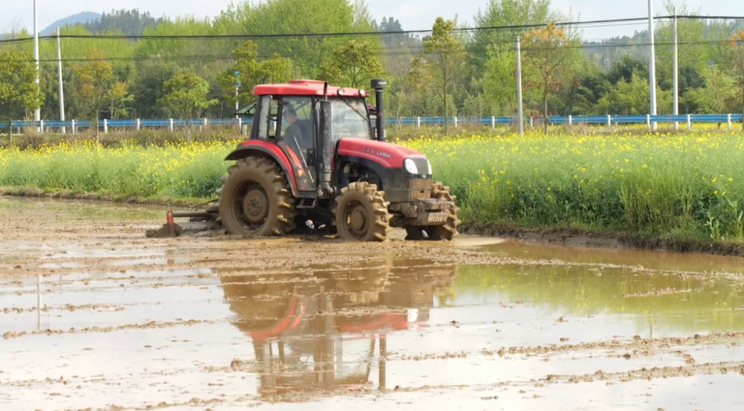西秀区：机械化育秧提效能春耕备耕跑出必赢“加速度”(图1)