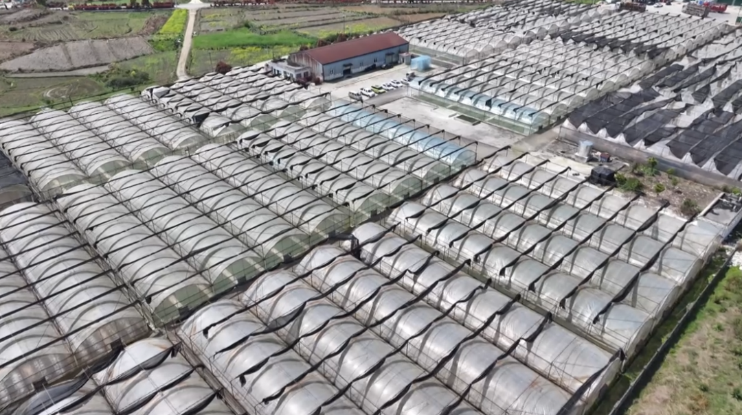 西秀区：机械化育秧提效能春耕备耕跑出必赢“加速度”(图2)