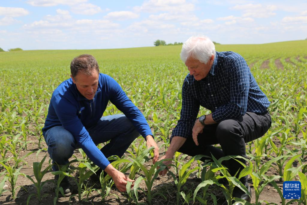 必赢国际美国“粮仓”一线观察:关税政策冲击下的农民春播之困(图1)