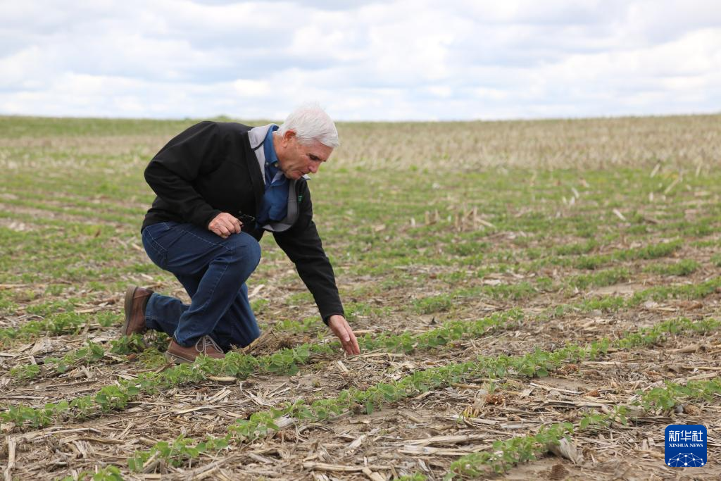 必赢国际美国“粮仓”一线观察:关税政策冲击下的农民春播之困(图2)