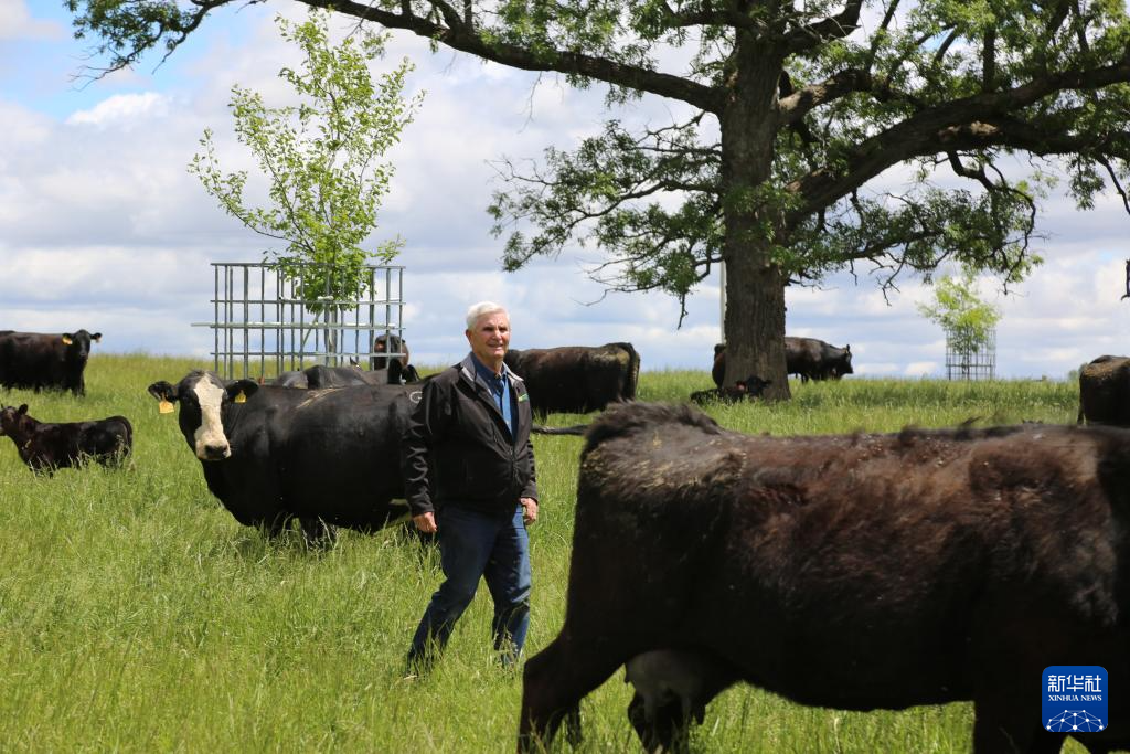 必赢国际美国“粮仓”一线观察:关税政策冲击下的农民春播之困(图5)