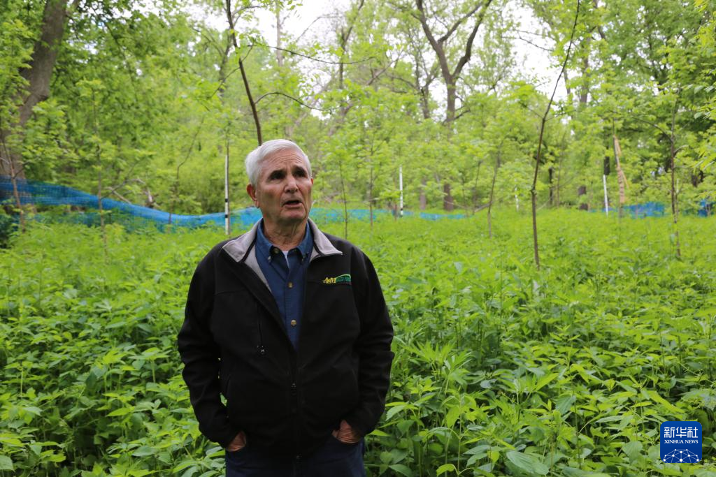 必赢国际美国“粮仓”一线观察:关税政策冲击下的农民春播之困(图7)