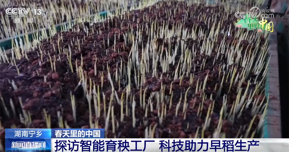 必赢科技加持让春耕春管奏响“交响曲”现代农业向新向优为好“丰”景筑牢根基(图1)