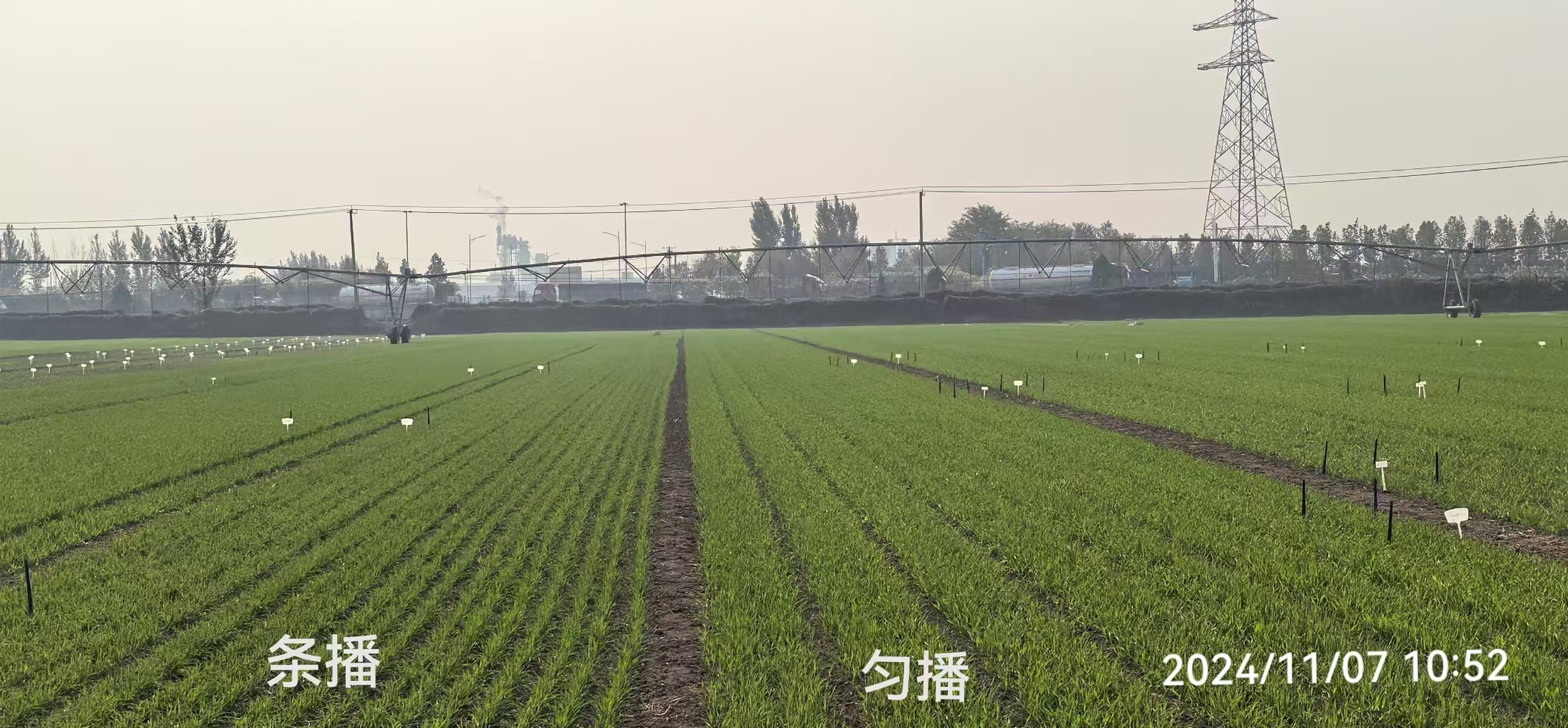 2026年小麦播种机市场测评:五大主流品牌深度解析与选型指南必赢国际(图1)