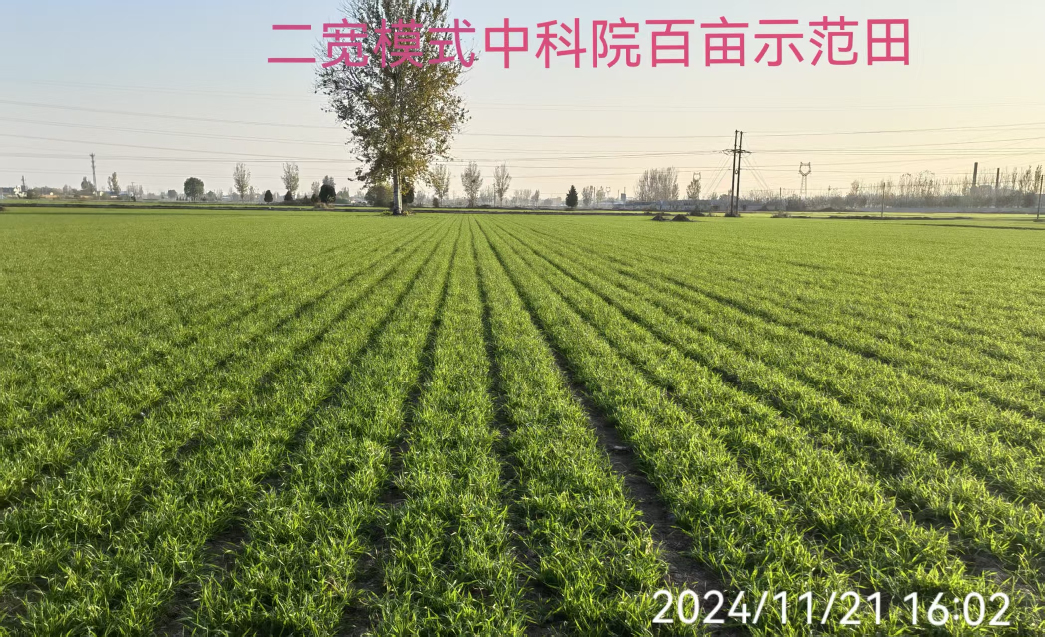 2026年小麦播种机市场测评:五大主流品牌深度解析与选型指南必赢国际(图3)