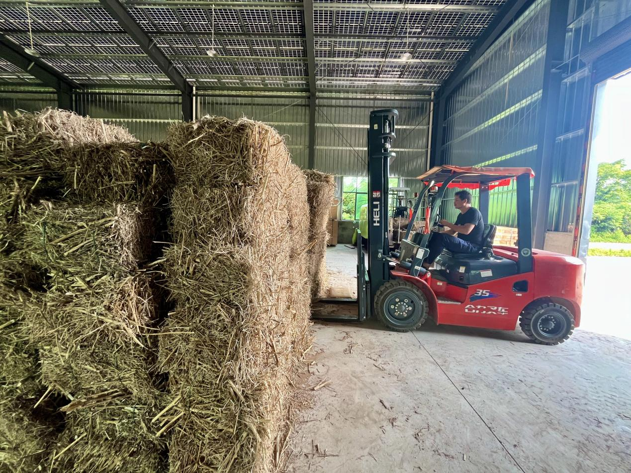 衡阳市珠晖区:以生态之策解秸秆之困探索资源化利用新路径(图2)