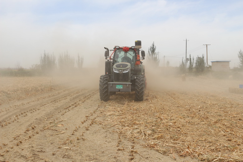 【深化“三抓三促”行动】罗城镇:秸秆回收“变废为宝”蹚出生态增收双赢路(图2)