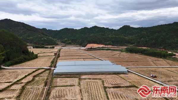 中央涉农资金项目助力光泽县水稻生产增产增效(图1)