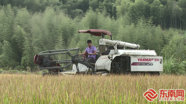 中央涉农资金项目助力光泽县水稻生产增产增效(图2)