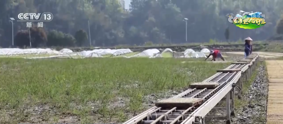 数智农具不断“上新”、网络成为“新农资”智慧农业为乡村插上“科技翅膀”(图1)