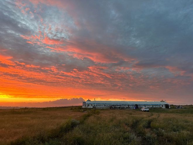 春节Bwin必赢里的下沉市场经济学：用包裹“熨平”城乡温度差(图3)