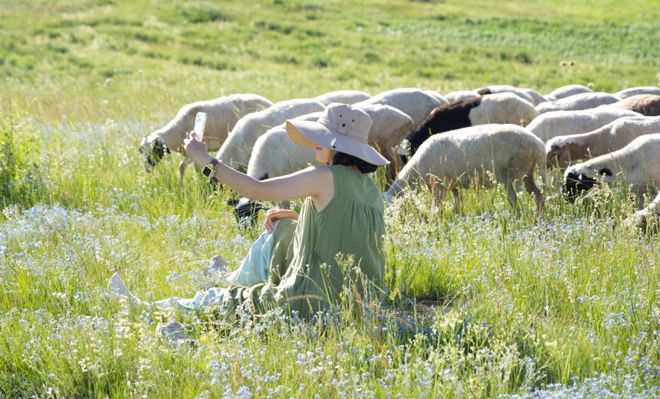 春节Bwin必赢里的下沉市场经济学：用包裹“熨平”城乡温度差(图6)