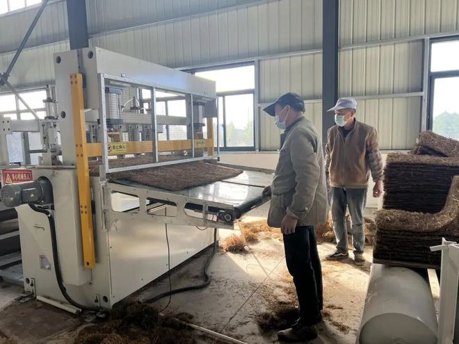 江苏昔日“草垛垛”何以变身全链“香饽饽”？南通秸秆综合利用率达9739%……(图1)