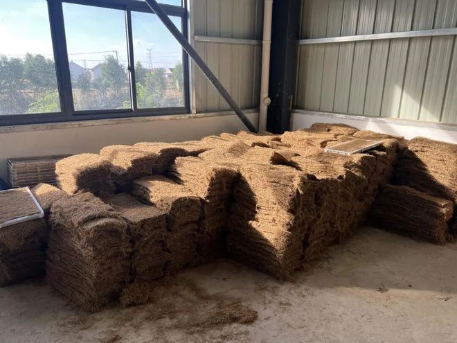 江苏昔日“草垛垛”何以变身全链“香饽饽”？南通秸秆综合利用率达9739%……(图4)