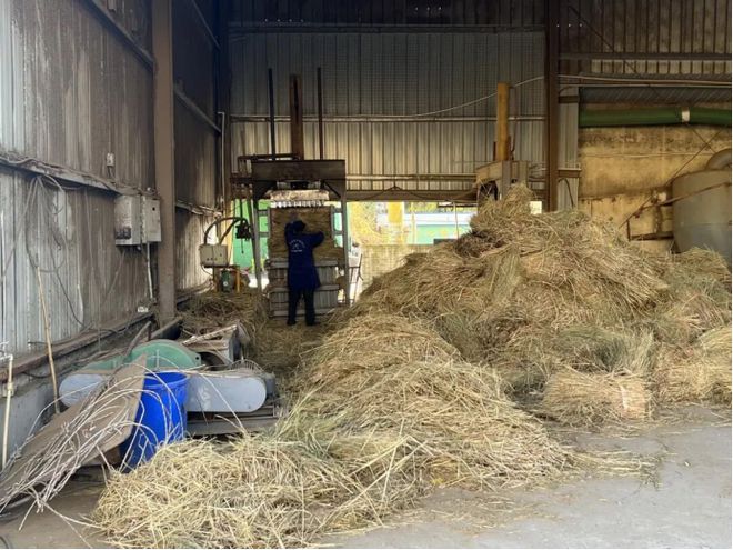 江苏昔日“草垛垛”何以变身全链“香饽饽”？南通秸秆综合利用率达9739%……(图5)