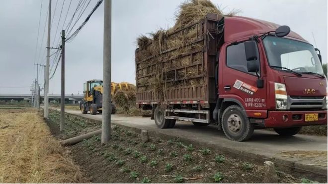 江苏昔日“草垛垛”何以变身全链“香饽饽”？南通秸秆综合利用率达9739%……(图7)