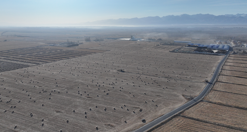 肃南裕固族自治县人民政府(图1)