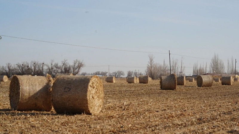 肃南裕固族自治县人民政府(图2)