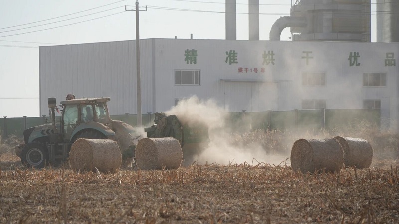 肃南裕固族自治县人民政府(图3)