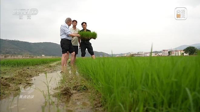 焦点访谈丨科技赋能春耕从自动到自主中国农业迈向智慧时代(图15)