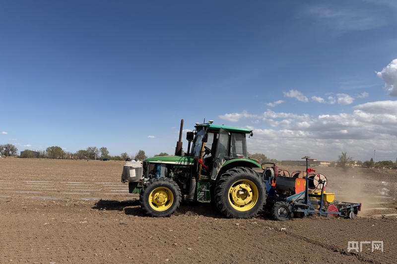 高质量发展“新”速度丨千亩黑种草子“搭”特色产业船Bwin必赢(图1)