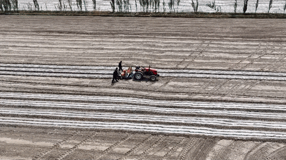 【全国两会精神在基层】科技赋能春耕生产高标准农田托起致富希望(图3)