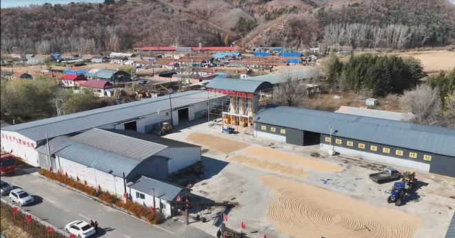 拉法山下备耕忙！小小合作社撑起乡村共富大产业(图2)