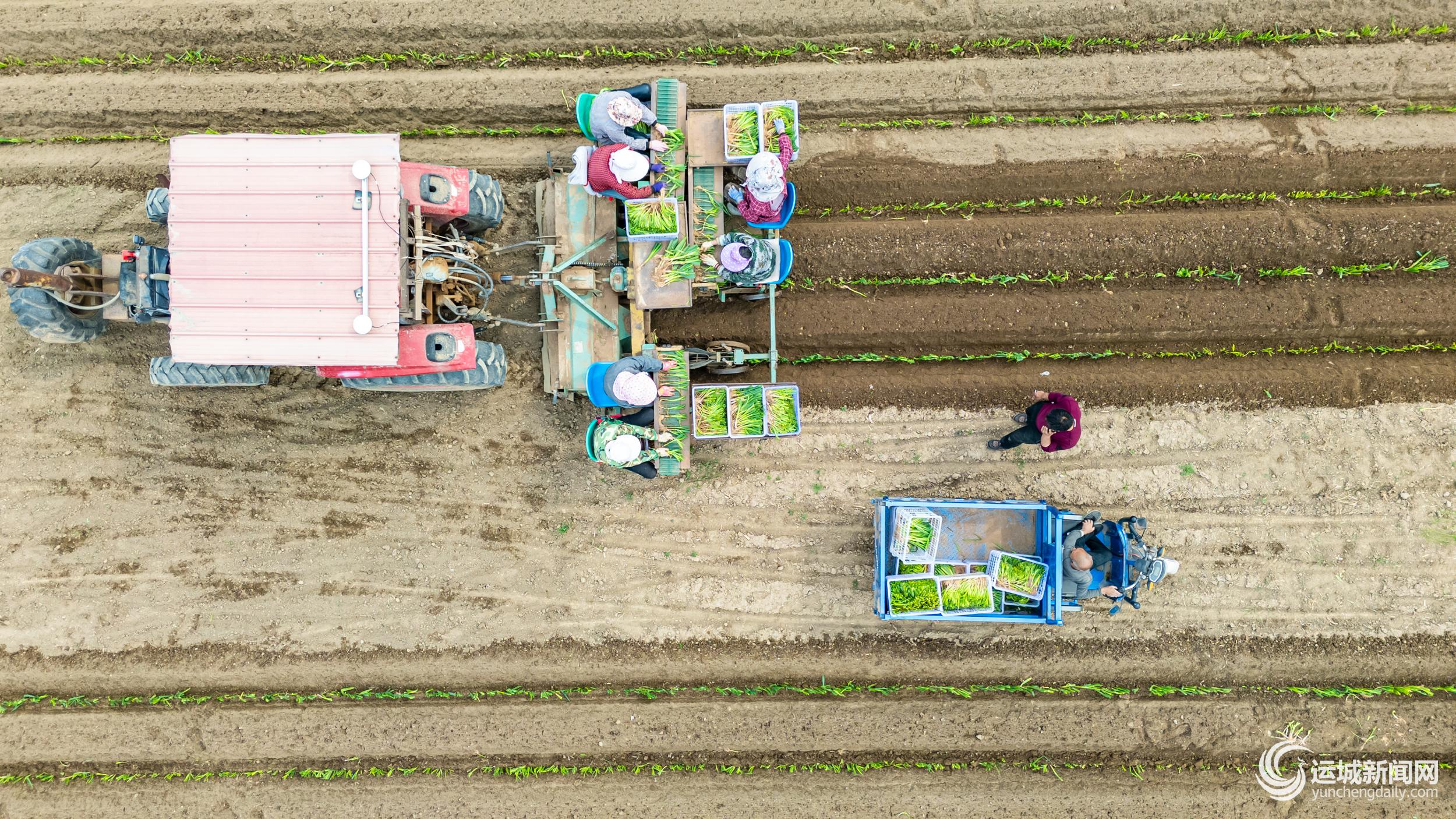 为春耕春管“加满油”(图3)