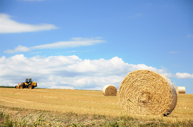 打捆机多少钱一台打捆机的工作原理及使必赢用方法介绍(图4)