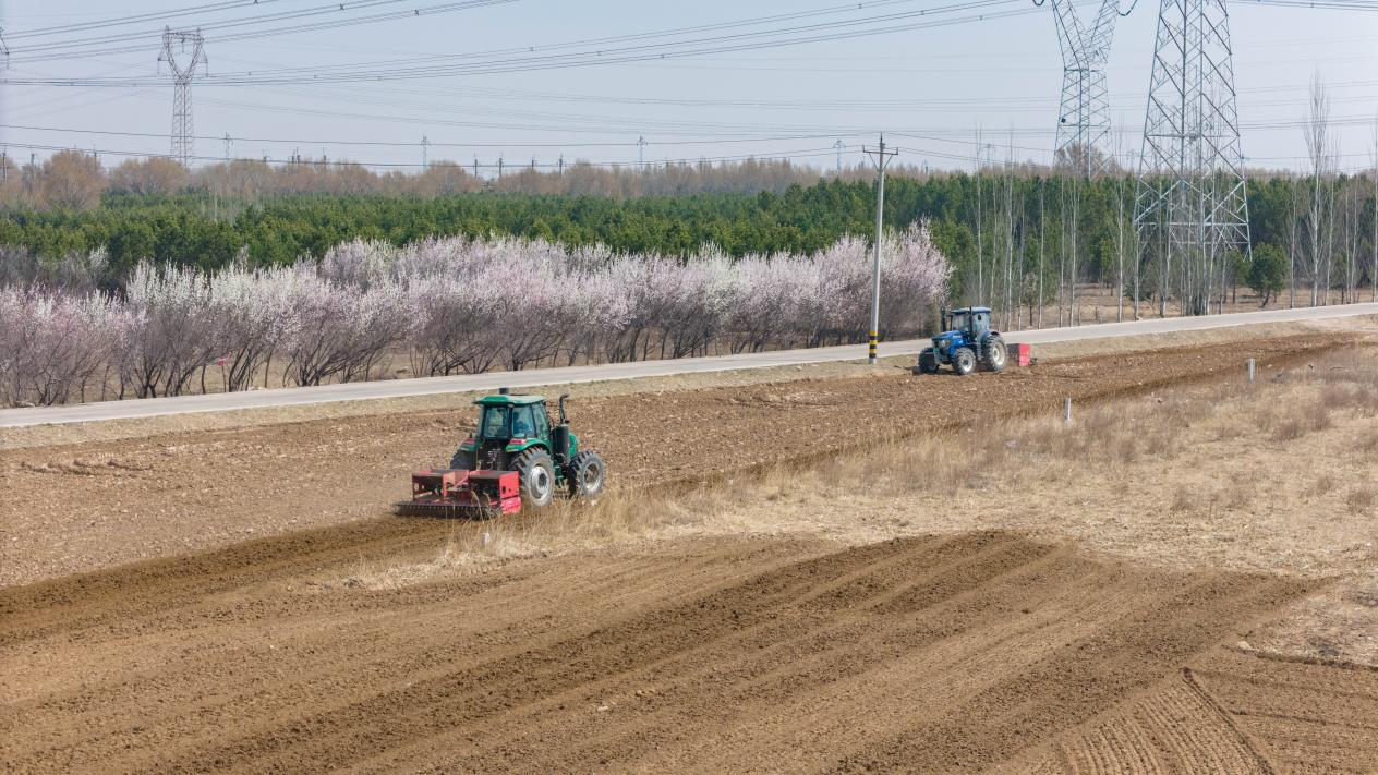 大同市云冈区：春耕备耕正当时绘就丰收新希望Bwin必赢(图3)