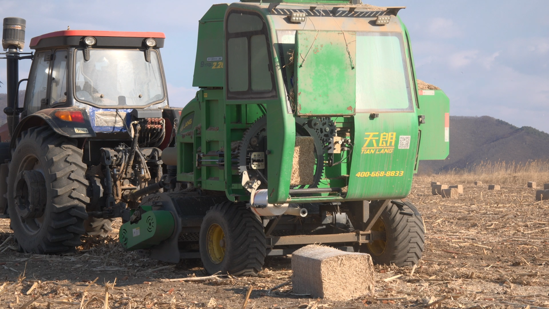 必赢国际延边州图们市：春耕备耕工作有序推进(图1)