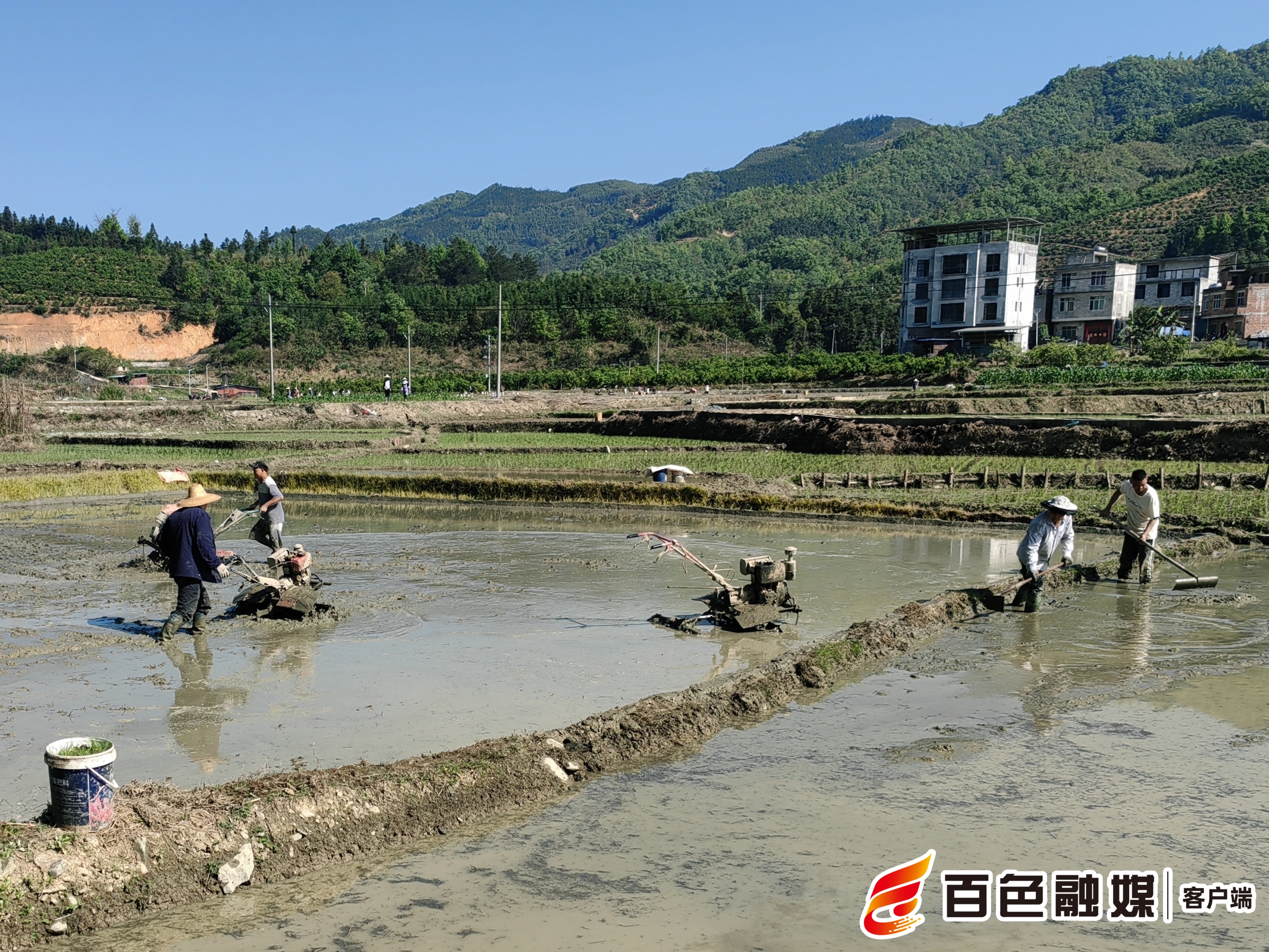 西林全面吹响春耕生产“冲锋号”(图3)