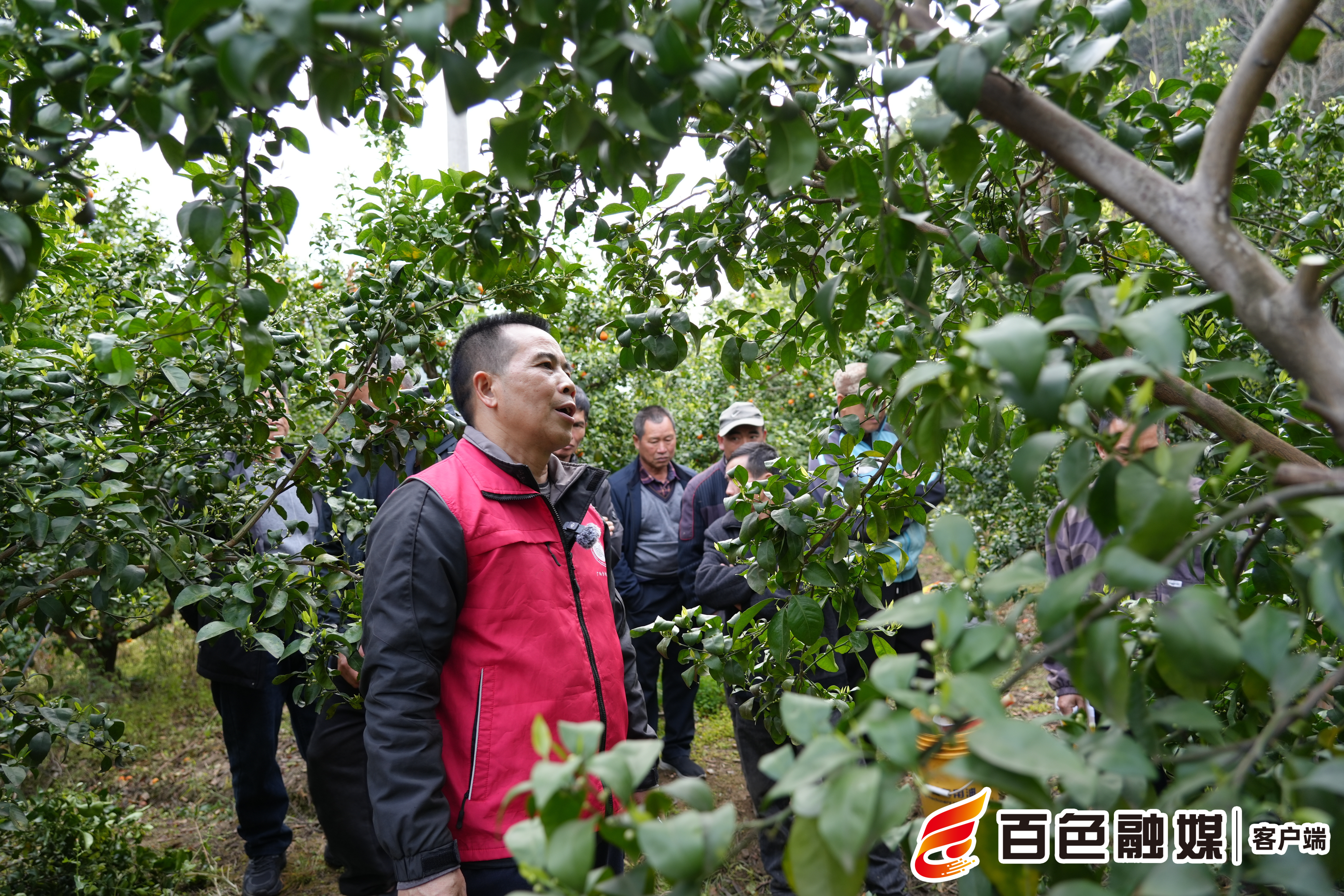 西林全面吹响春耕生产“冲锋号”(图4)