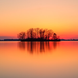 气吸式播种机的排种器工作原理(图5)